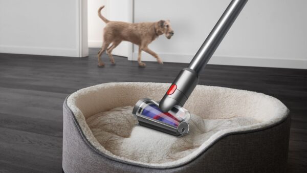 ⁦שואב אלחוטי בהוראת קבע Dyson V15™ Detect Absolute New⁩ – תמונה ⁦2⁩